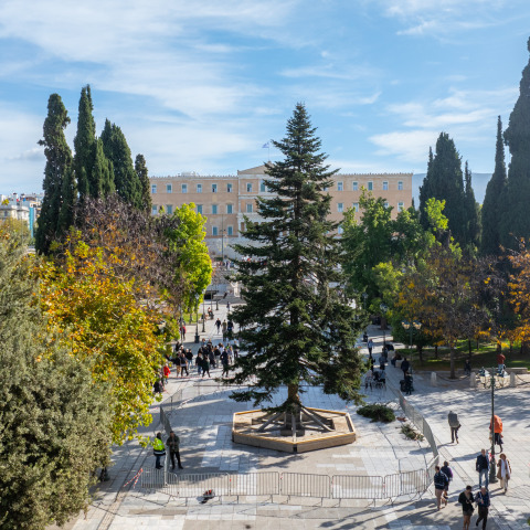 Φωταγωγείται την Πέμπτη το χριστουγεννιάτικο δέντρο στην πλατεία Συντάγματος