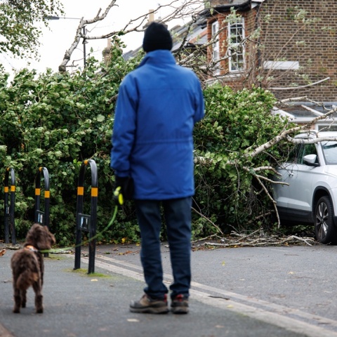 Πτώση δέντρου πάνω σε όχημα λόγω της καταιγίδας Μπερτ