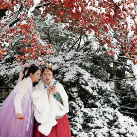 Νότια Κορέα: Η Σεούλ κάτω από το βαρύτερο πέπλο χιονιού των τελευταίων 100 ετών για τον μήνα Νοέμβριο - 16,5 εκατοστά έπεσαν το πρωί της 27ης Νοεμβρίου. 