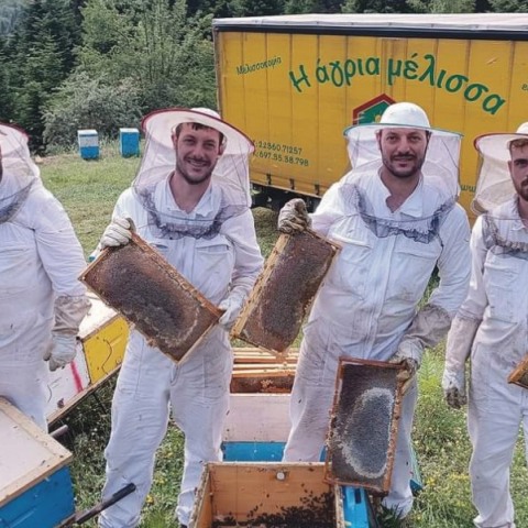 Άγρια Μέλισσα