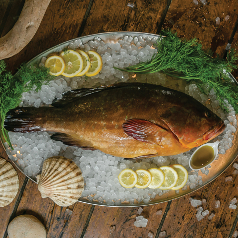 Θαλασσινός: Η θρυλική ψαροταβέρνα στις Τζιτζιφιές