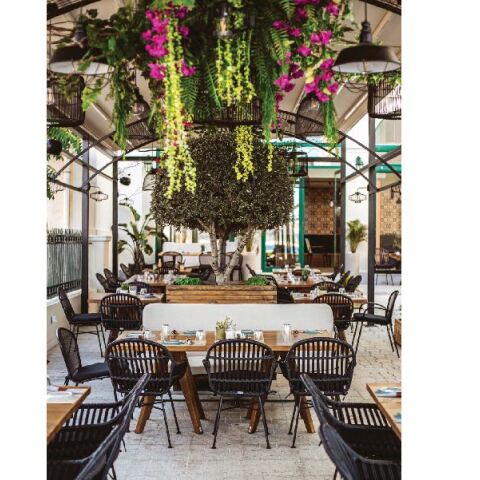  Κουτσή Κατσίκα