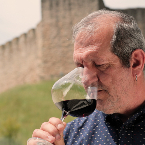 Winery Monsieur Nicolas: Το επισκέψιμο οινοποιείο με την ξεχωριστή ιστορία και τις μοναδικές ετικέτες κρασιού