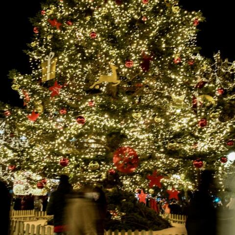 Εορταστικό ωράριο Χριστουγέννων 2024