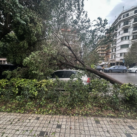 Δέντρο έπεσε πάνω σε αυτοκίνητο σε δρόμο της Θεσσαλονίκης μετά την κακοκαιρία Bora