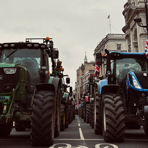 Explainer: Γιατί διαδηλώνουν οι αγρότες στο Ηνωμένο Βασίλειο