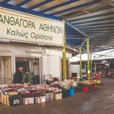 Ανθαγορά Αθηνών: Η καρδιά του ελληνικού λουλουδιού χτυπάει στη Ριζούπολη