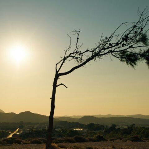 Το 2025 αναμένεται να είναι μια από τις τρεις θερμότερες χρονιές που έχουν καταγραφεί ποτέ