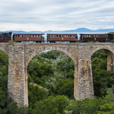 Ξανά στις ράγες ο «Μουτζούρης», το τρενάκι του Πηλίου