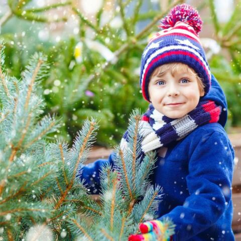 Πώς θα αποφύγουμε τα παιδικά ατυχήματα τα Χριστούγεννα - Προτάσεις πρόληψης από το σωματείο «Αντιμετώπιση Παιδικού Τραύματος».