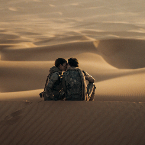 Ανασκόπηση 2024: Οι γερόλυκοι, τα θρίλερ και τα ρεκόρ στους κινηματογράφους