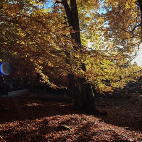 Με ισχυρούς ανέμους, ήλιο και μικρή άνοδο της θερμοκρασίας ο καιρός την Τετάρτη