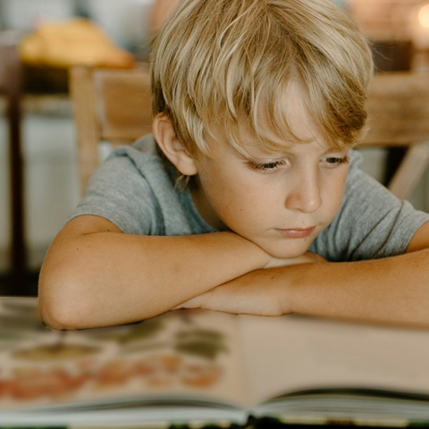 33 βιβλία παιδικής και εφηβικής λογοτεχνίας για τις γιορτές