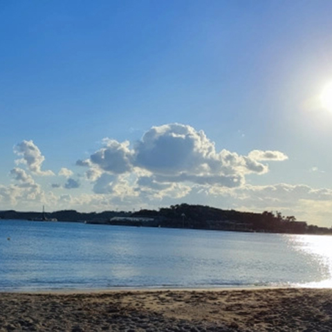 Podcast Χειμερινή κολύμβηση: Ανακαλύπτοντας έναν κόσμο ευτυχίας