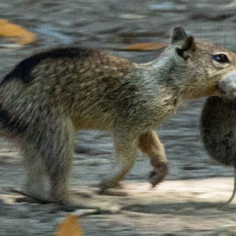 cbe43780a5a5f4afb33cab00b466886d45e86d2d