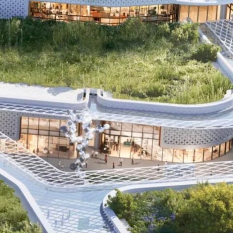 untitled_design_-_2024-12-18t170213_055