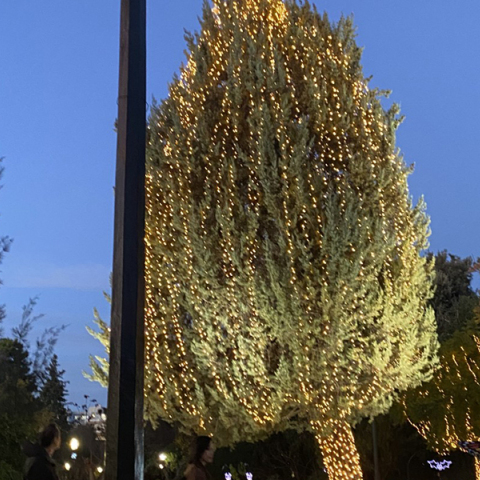 Σε βλέπω… χτενισμένο