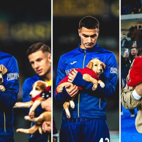 Serie A: Μίλαν και Βερόνα εισήλθαν στον αγωνιστικό χώρο με την συνοδεία κουταβιών για καλό σκοπό - Πρωτοβουλία με στόχο την υιοθεσία των ζώων
