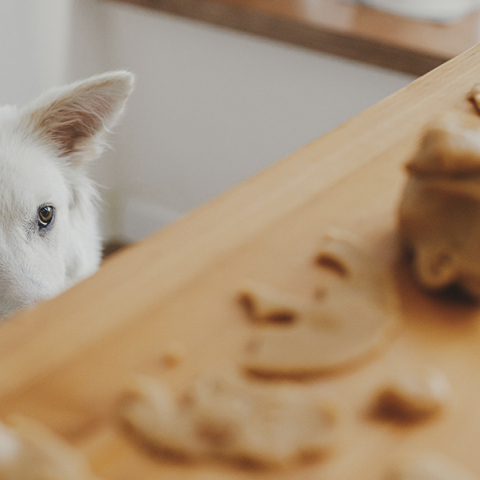 Χριστουγεννιάτικες λιχουδιές για τα αγαπημένα μας κατοικίδια