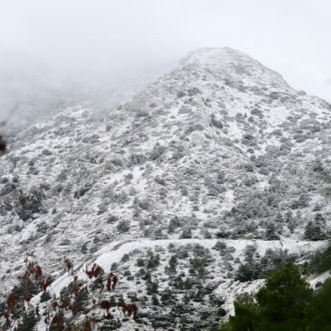 Στα λευκά η Ιπποκράτειος Πολιτεία 