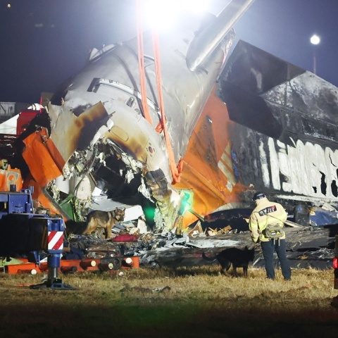 Αεροπορικό δυστύχημα στη Νότια Κορέα: Ο επί 17 χρόνια κυβερνήτης Boeing 737-800 εκτιμά τι μπορεί να συνέβη