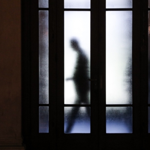 Ο πρωθυπουργός της Ολλανδίας ή ένα εγκώμιο στην πλήξη