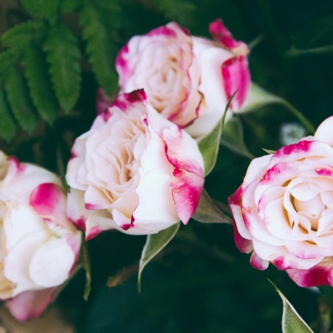 Μπουκέτο με λουλούδια