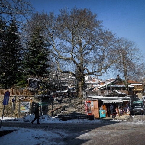 Χιονισμένο Μέτσοβο