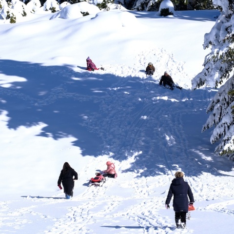Χιονοδρομικό Κέντρο Καλαβρύτων