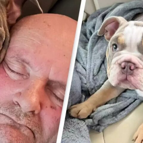 Κουτάβι σώζει τη ζωή του κηδεμόνα του με μία δαγκωματιά στο δάχτυλο του ποδιού 