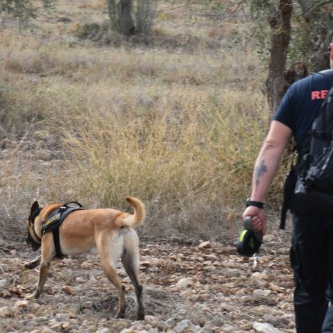 Λάρισα: Για 7η ημέρα συνεχίζονται οι έρευνες για τον εντοπισμό του 39χρονου