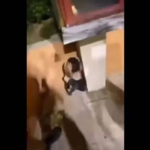 Κομοτηνή: Παρέμβαση Αρείου Πάγου για την φασιστική βία σε παιδί 