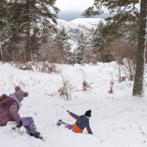 Πού θα χιονίσει την Κυριακή - Πέφτει κατακόρυφα η θερμοκρασία