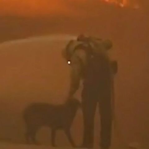 Καλιφόρνια: Η συγκινητική στιγμή που πυροσβέστης σβήνει τη φωτιά ενώ παρηγορεί χαμένο σκύλο