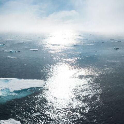 untitled_design_-_2025-01-10t194820_788