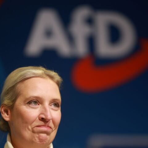 untitled_design_-_2025-01-11t200304_543