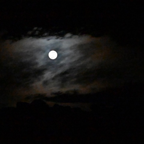 Πανσέληνος