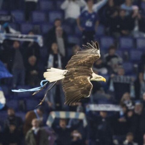 Λάτσιο: Ο διάσημος αετός δεν θα ξαναπετάξει για τους «λατσιάλι» - Για ποιο λόγο