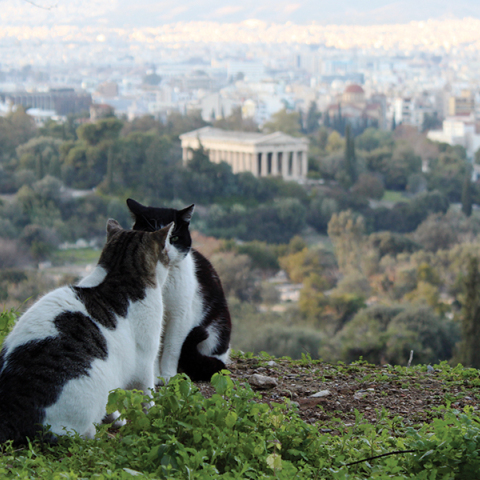 Παρακολουθώντας το τέλος του κόσμου από την Ακρόπολη