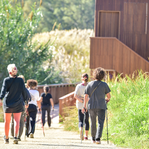Άσκηση και ευεξία δίπλα στη φύση με δωρεάν προγράμματα στην Πάτρα
