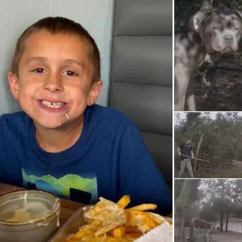 ΗΠΑ: Αγόρι που έκανε ποδήλατο κοντά στο σπίτι του στη Φλόριντα έχασε τη ζωή του όταν σταμάτησε για να χαϊδέψει δύο σκυλιά που του επιτέθηκαν βάναυσα. 