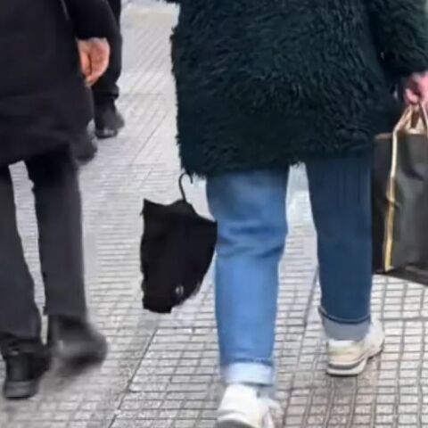 untitled_design_-_2025-01-16t210236_705