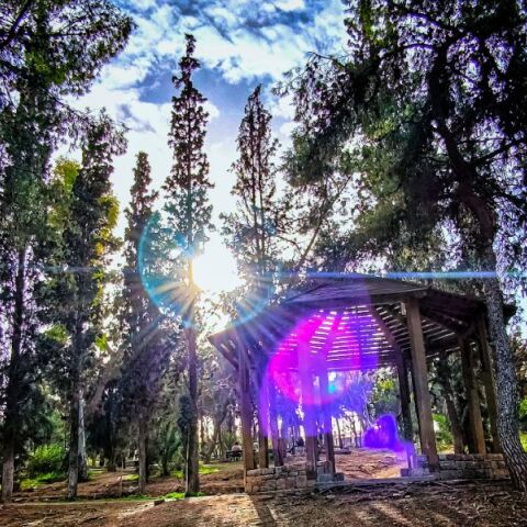 Ηλιόλουστος ο καιρός την Πέμπτη - Σε ποιες περιοχές θα έχει συννεφιά