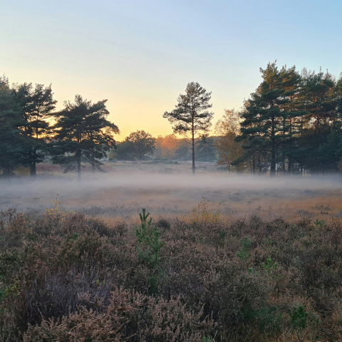 Η εξοχή της Αγγλίας δεν έχει καμία σχέση με τις εξοχές που ξέρουμε