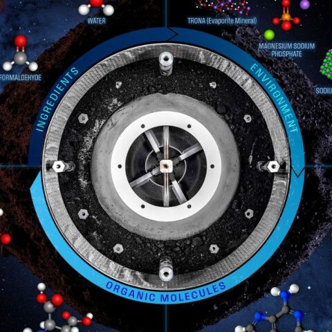 untitled_design_-_2025-01-29t212613_408