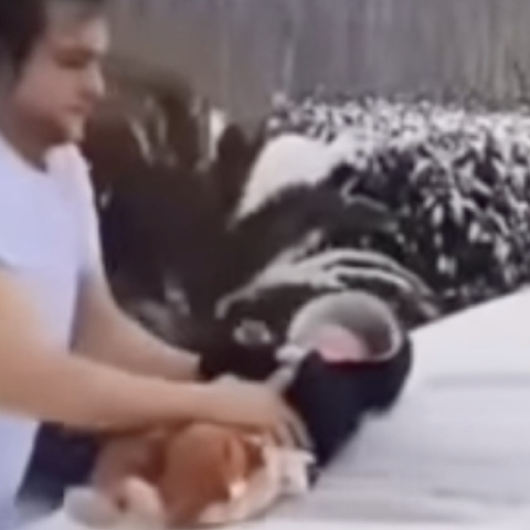 Έκανε το παιδί του πανάκι για τα τζάμια, τώρα τον ψάχνει η αστυνομία 