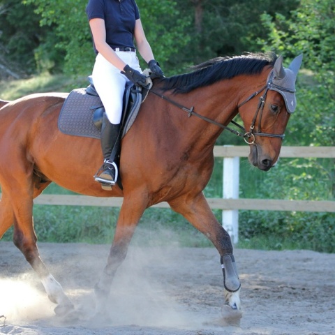 Άτομο κάνει ιππασία