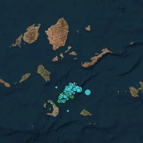 untitled_design_-_2025-02-01t164055_894