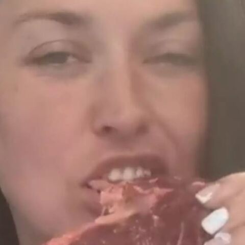 carnivore