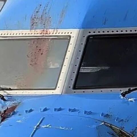 untitled_design_-_2025-02-07t195940_772